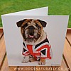 Bulldog Greetings Card Union Jack - Rachael Hale